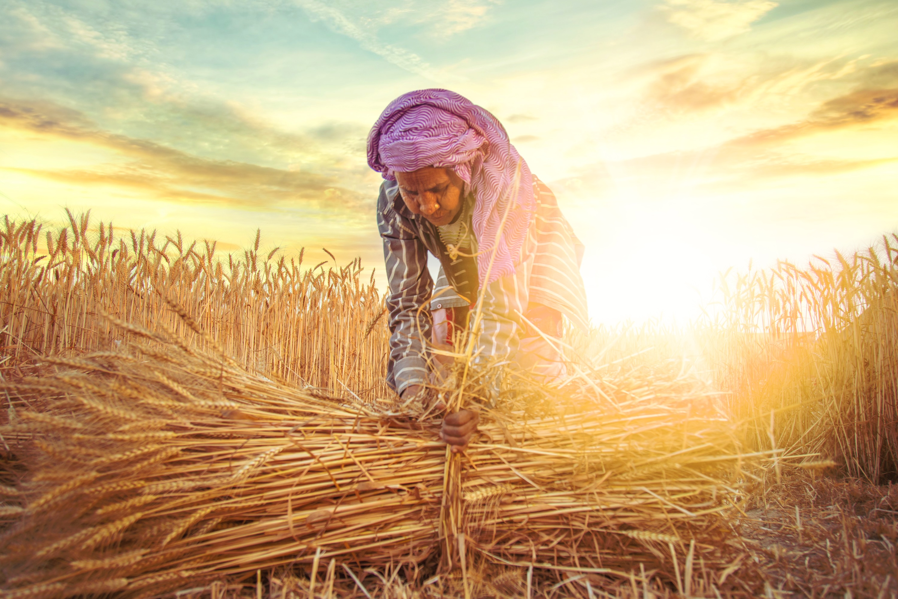farmer in India