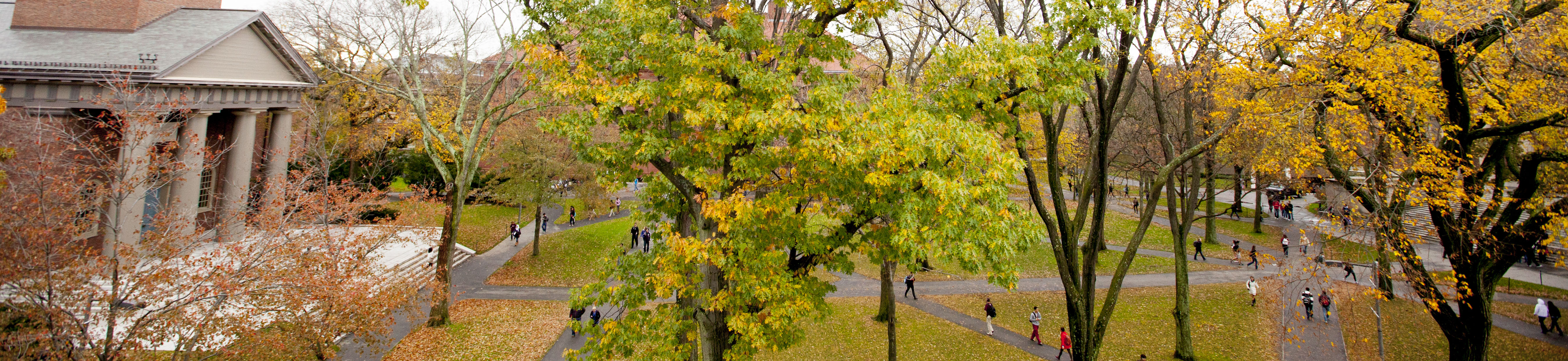 cropped_contact_us_banner