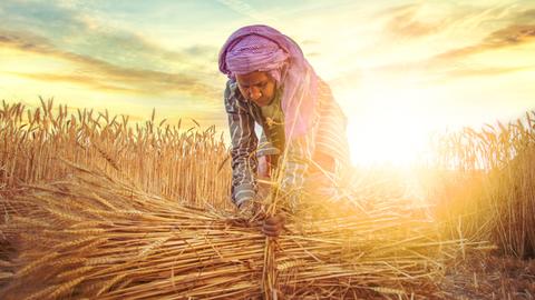 farmer in India