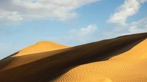 Sand dunes in the Thar Desert in Rajasthan, India. (Credit: Dmitry Rukhlenko)
