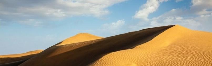 Sand dunes in the Thar Desert in Rajasthan, India. (Credit: Dmitry Rukhlenko)