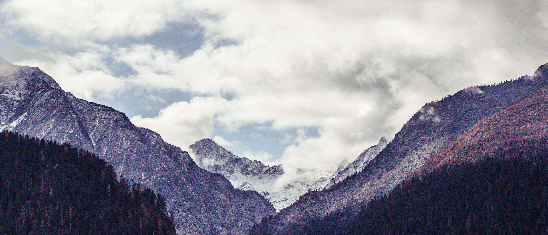 cropped_clearing_the_air_research_detail_page_banner_from_unsplash